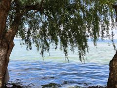 -捞渔河湿地公园