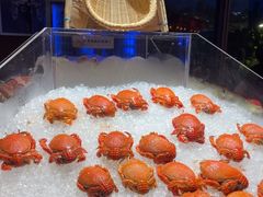 -马哥孛罗酒店·SAVVY全日餐厅