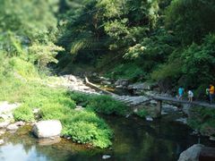 -宁波余姚老柿林山居度假村