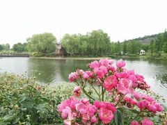 -上海辰山植物园