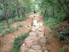 -树山生态村