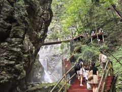 -牛背梁国家森林公园