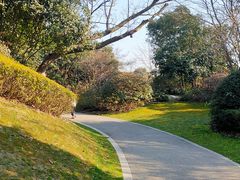 -桃花岛景观公园