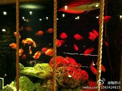 android_upload_pic-老船坞餐厅(北京亚洲大酒店 )