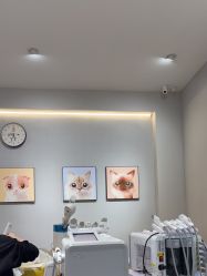 -洗脸猫·洗脸吧