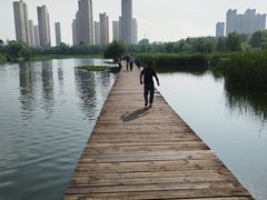 -前关湿地公园