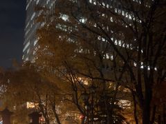 -北海道厅旧本厅舍(旧本庁舎)