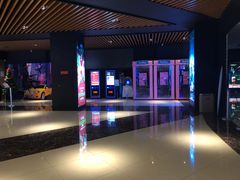 -SFC上影百联影城(川沙IMAX店)