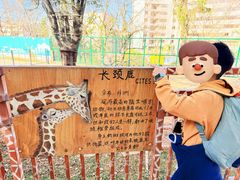 -昆明动物园