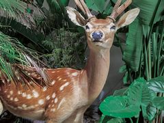 -中国天府农业博览园