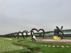 -迪茵湖田家舍生态农场