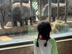 -石家庄市动物园