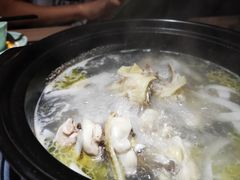 -探窝·竹笙椰子鸡(杨箕店)