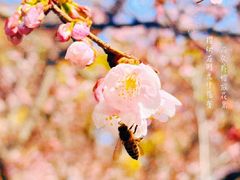 -静安雕塑公园