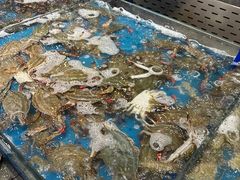 -半岛听涛蒸汽海鲜自助(K11店)