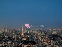 -六本木新城展望台(东京城市景观)