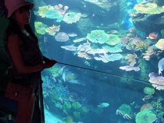 -暹罗海洋世界
