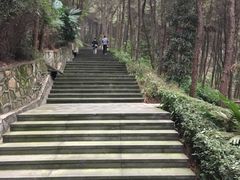 -铁山坪森林公园