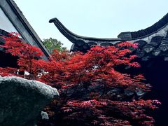 -何园