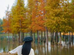 -白鹭湾湿地公园