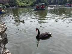 -西安秦岭野生动物园