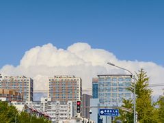 -泓0871臻选云南菜·味庄
