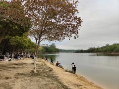 -凤岗南门山森林公园