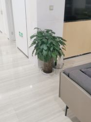 -雍禾植发全国连锁