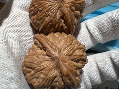 -天辣(金桥啦啦宝都店)