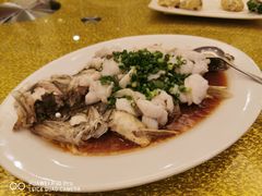 -黄埔华苑酒家(黄埔总店)