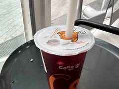 -CoCo都可(建外SOHO店)