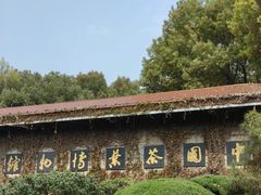 -中国茶叶博物馆(双峰馆区)