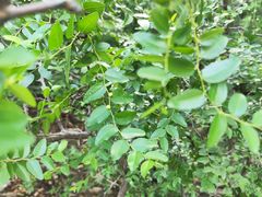 -青州市云门山风景区