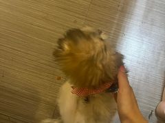 -白熊咖啡(闽江大道店)