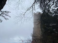 -塔云山