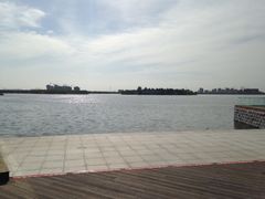 -武清南湖绿博园