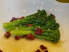 -亮宝楼国宴+文化陕菜