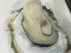 -蚝专家(北滘店)