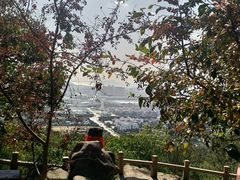 -灵岩山风景区