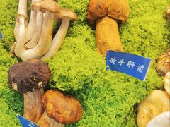 -束河人家(南锣鼓巷店)