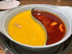-青瓷火锅料理(西单大悦城店)