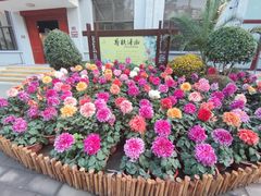 -陶然亭公园