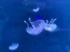 -杭州海底世界