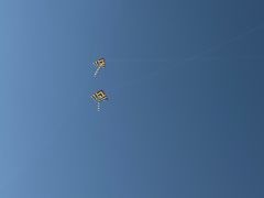 -不觉晓CAMPING(上海迪士尼营地店)