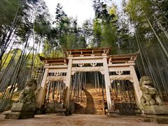 -午潮山国家森林公园