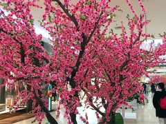 -永旺梦乐城国际商城(北清路店)
