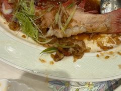 -翠园(北京王府中环店)