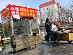 -沈阳奥体冰雪嘉年华
