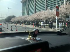 -天猫养车贴膜轻改·蓝电(优匹康桥东路店)