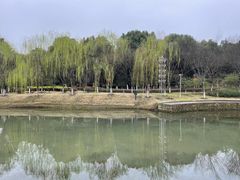 -桐乡植物园
